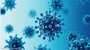 د.محمد عبدالجيد يكتب : تحورات فيروس كورونا والمخاطر القادمة